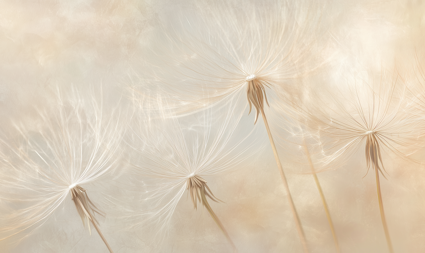 Federblume