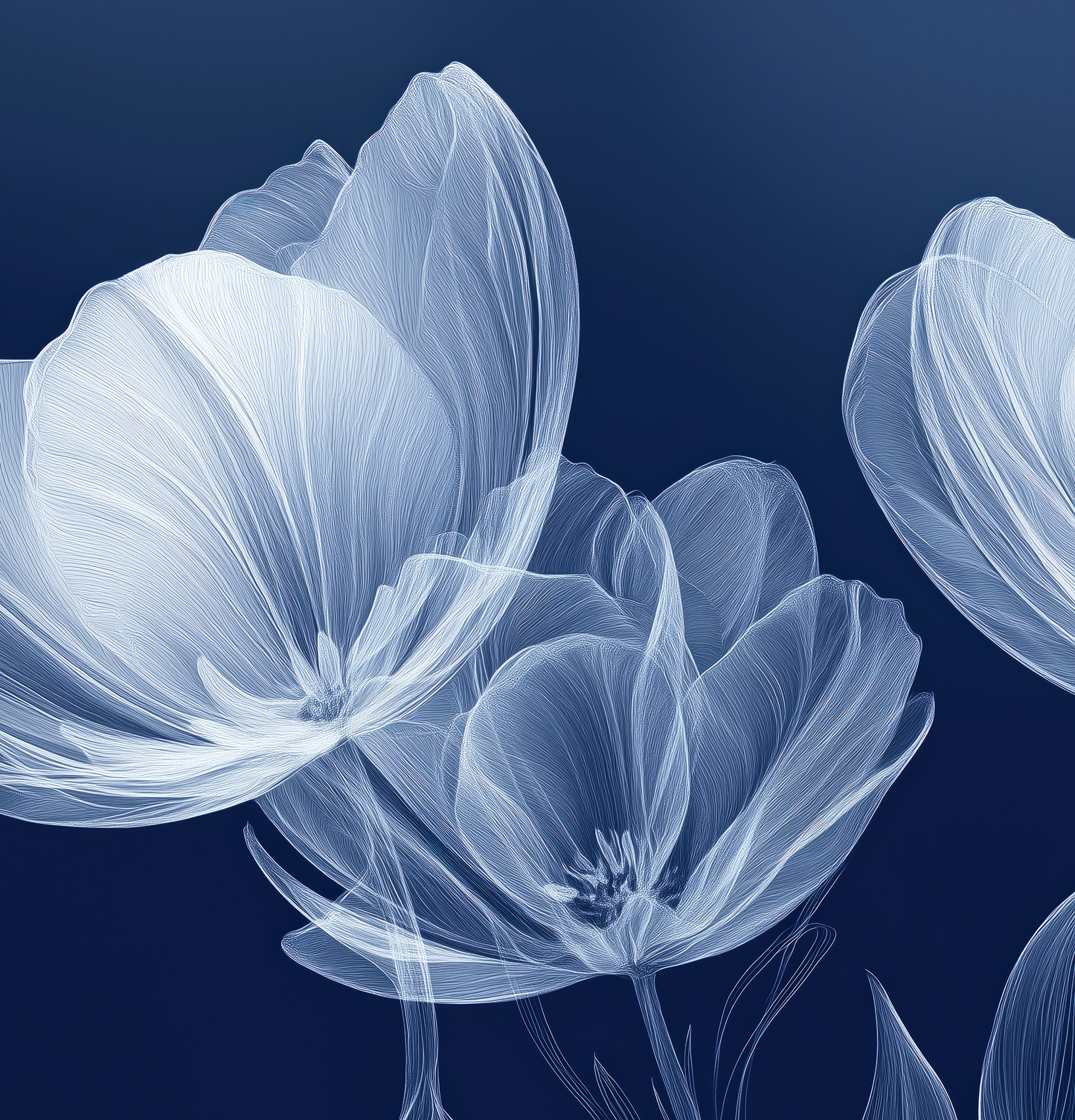 Nachtschimmer – Moderne selbstklebende Tapete in Tiefblau mit floraler Grafik, als Wandbild im Digitaldruck