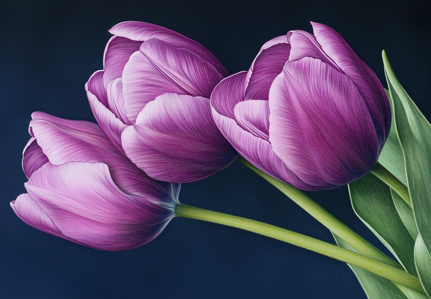 Tulpenpoesie – Elegante Digitaltapete mit Blumenmotiv in Violett und Nachtblau
