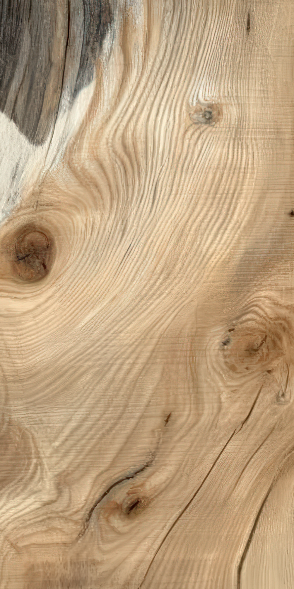 Scandi Wood - Selbstklebende Tapete | Wall of Nova