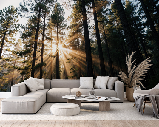 Sun Forest