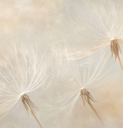 Federblume