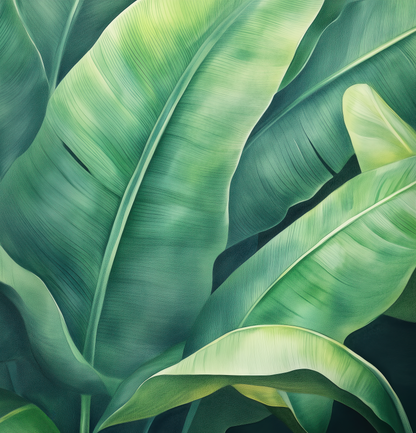 Tropical Leaves – Self-adhesive wallpaper with banana leaves in soft green